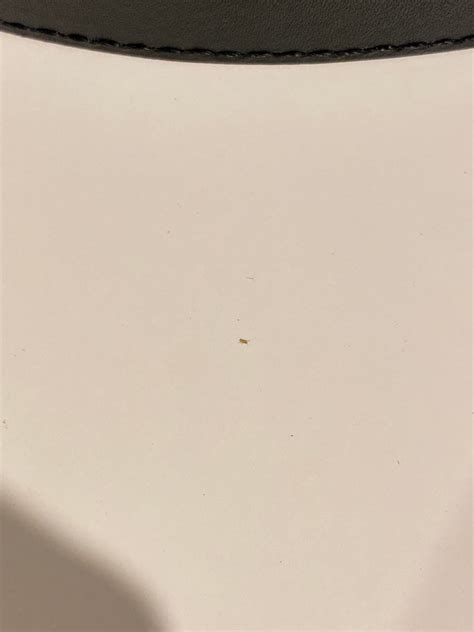 is this a baby isopod or mites? found in a group of about 30 brownish head white body very small ...