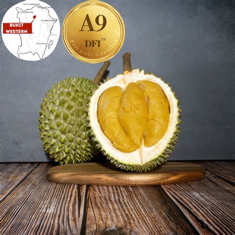 A Penang Old Tree Msw Bukit Western G Durian Delivery Singapore