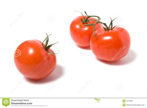 Prenda O Tomate Isolado No Fundo Branco Foto De Stock Imagem De