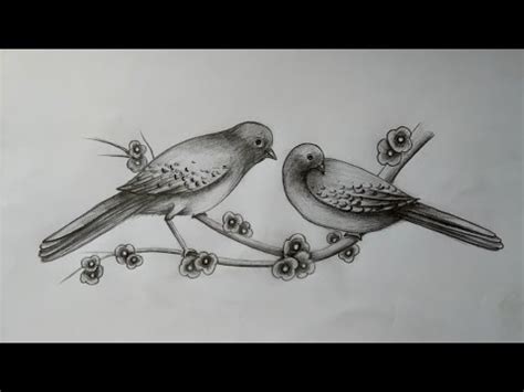 How To Draw Two Bird In Love By Pencil Sketch Youtube