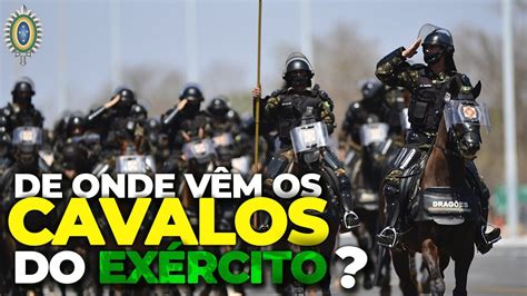 A Produ O Do Cavalo Militar Pelo Ex Rcito Brasileiro Youtube