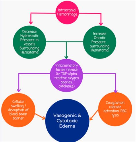 Emergency Medicine Educationdangerous Causes Of Nausea