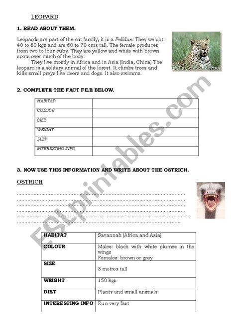 Animals Fact File Esl Worksheet By Majis