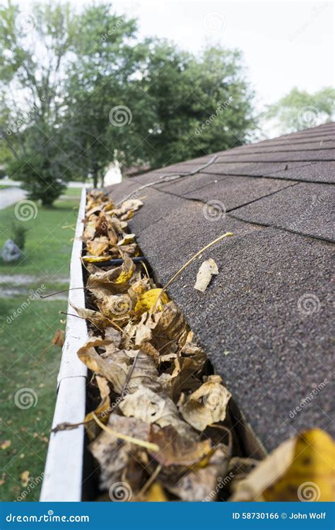 Dry Leaves In A Gutter Stock Photo Image Of Cleaning 58730166