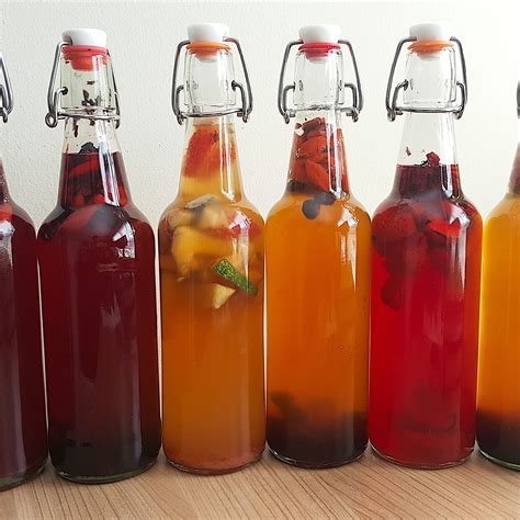 fermentation recipes 1