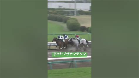 ハヤブサナンデクン Jra 中央競馬 中山競馬場 Youtube