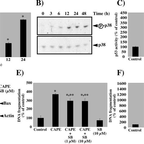 Cape Induced Apoptosis A Mcf 7 Cells Were Treated With Cape At The