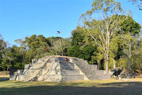 How to Visit Macaw Mountain in Copan, Honduras - Our Escape Clause