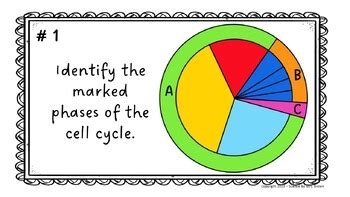 Cell Cycle Mitosis Meiosis Task Cards By Science By Mrs Brown