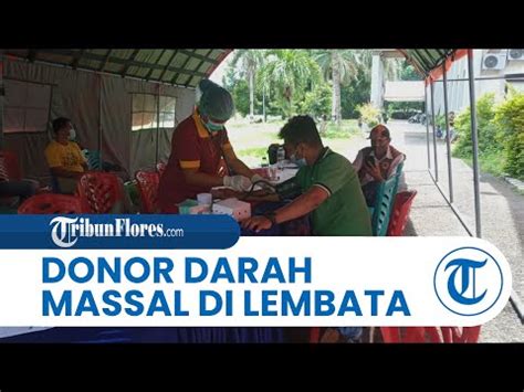 Pt Epson Indonesia Dan Pmi Lembata Adakan Donor Darah Massal Untuk