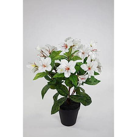 Amazon de Seidenblumen Roß Hibiskus 40cm weiß Creme im Topf ZF