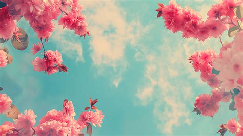 Flowers & Sky Preppy Desktop Wallpaper - Preppy Wallpaper in 4K