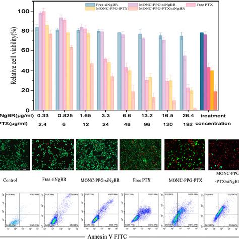 Combination Therapy Of Mcf Ptx Cell In Vitro A Cell Viability Of