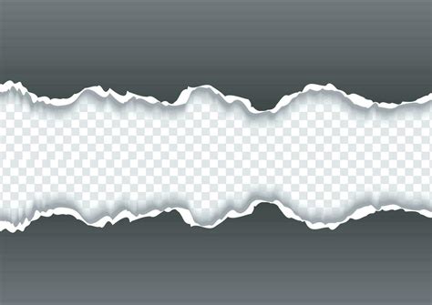 creative horizontal torn paper edge  transparent background