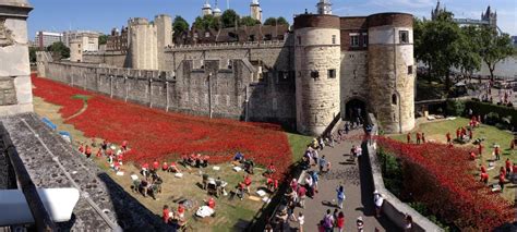 888,246 Ceramic Poppies Surround the Tower of London to Commemorate WWI ...