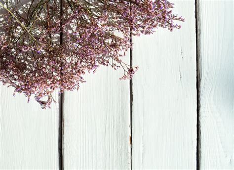 รูปภาพLimonium – เลือกดูภาพถ่ายสต็อก เวกเตอร์ และวิดีโอ5,024 | Adobe Stock