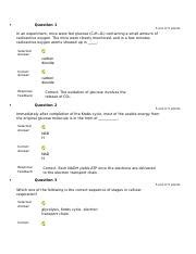 Introduction To Cellular Respiration Assignment Docx Introduction To