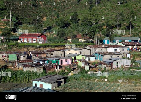 Poor Neighborhood With Basic Housing In Nuwara Eliya Sri Lanka Stock