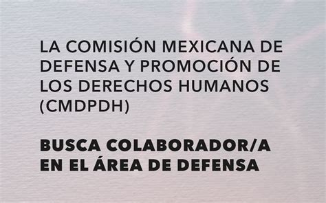 La Comisión Mexicana de Defensa y Promoción de los Derechos Humanos