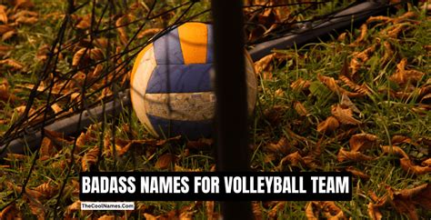 Volleyball Team Names Make A Splash With Name Ideas