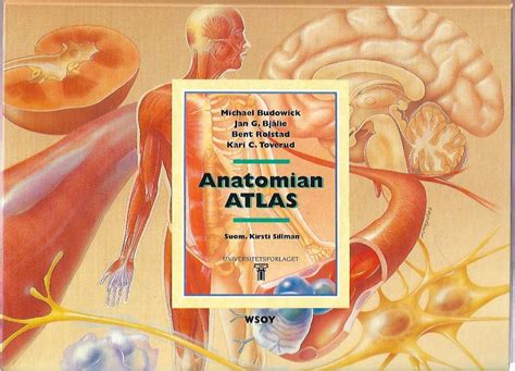 Anatomian Atlas Kirjapino Fi