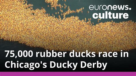 75 000 Rubber Ducks Make A Splash In The Chicago River For Ducky Derby 2022 Youtube