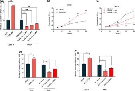 LncRNA DLX6AS1 Can Promote The Proliferation Migration And Invasion