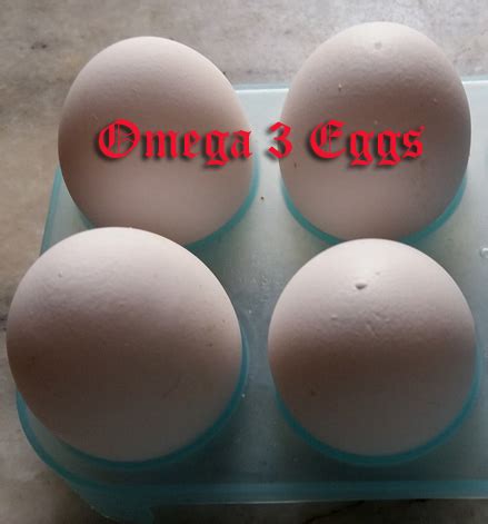 Health Benefits Of Consuming Omega 3 Eggs, Healthy and Nutritious Food Item