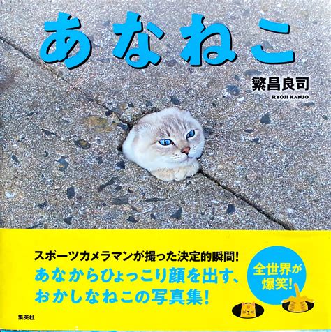 ryoji hanjo ananeko  agents de la mort books