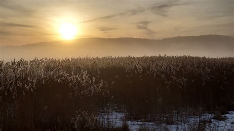 Landscape Sweden Värmland Free Photo On Pixabay Pixabay