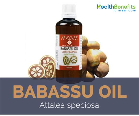 Babassu-oil-facts-and-health-benefits | Health Benefits