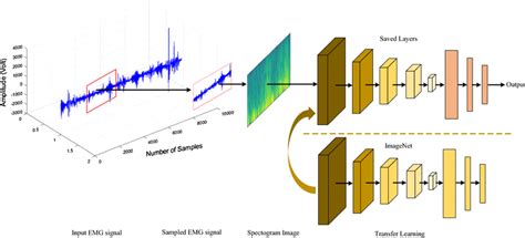 Proposed transfer learning methodology for EMG signal classification ...