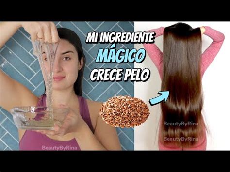 Descubre C Mo La Linaza Potencia Y Revitaliza Tu Cabello Beneficios Y