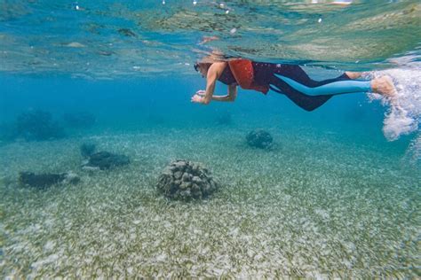 Kayak And Snorkeling Adventures In West End Unique Chance To Explore