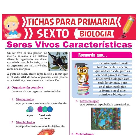 Ciclo De Vida De Los Seres Vivos Para Ni Os De Primaria Hay Ni Os