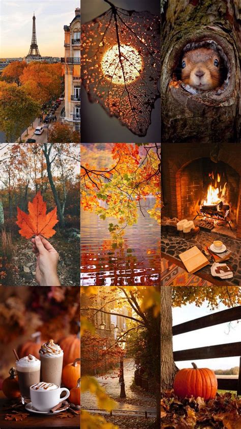 50 Cozy Fall Collage Wallpaper - brightonjettyclassicsculptures.com