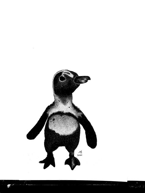 Artstation Pen And Ink Penguin