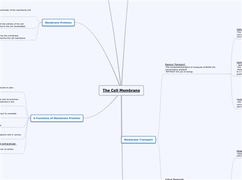 The Cell Membrane Mind Map