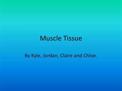 Ppt Muscle Tissue Powerpoint Presentation Free Download Id 2514262