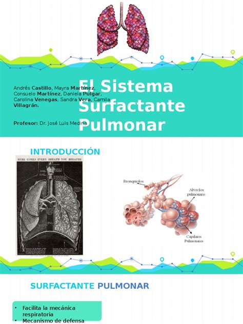 El Sistema Surfactante Pulmonar Pdf