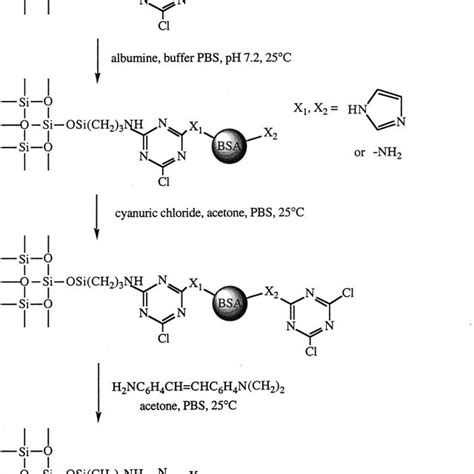 Cyanogen Bromide Activation Of Quartz Silica Surface And Following It