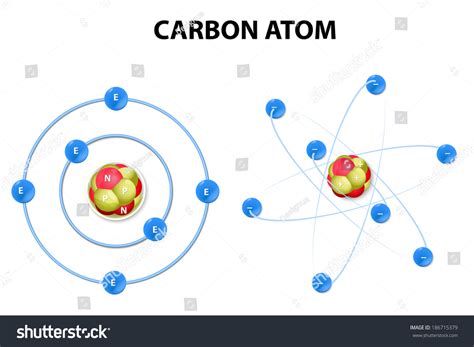 This Diagram Shows Protons Neutrons Electrons Stock Illustration ...