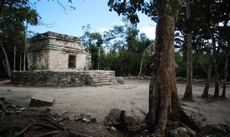 Reapertura de la Zona Arqueológica San Gervasio en Cozumel