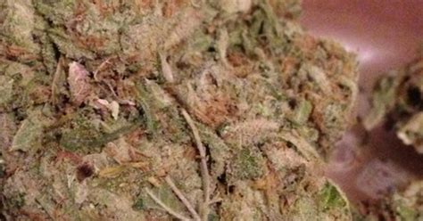 Photos Of Mad Dawg Weed Strain Buds Leafly