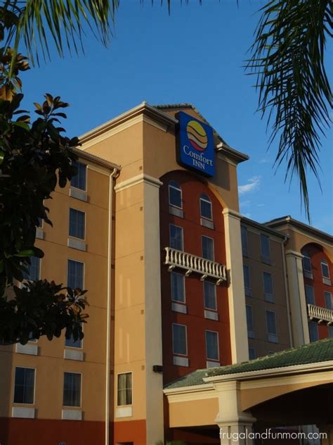 Friendly Staff And Free Breakfast At The Comfort Inn On International