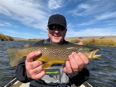 Montana Angler Fly Fishing Bozeman All You Need To Know Before You Go