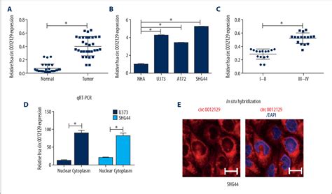 Figure 1 From Circular Rna Hsa Circ 0012129 Promotes Cell Proliferation