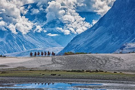 Short Trip To Ladakh Vibrant Holidays