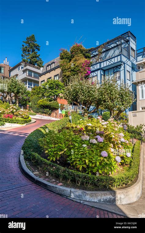 Lombard Street San Francisco California Usa Stock Photo Alamy