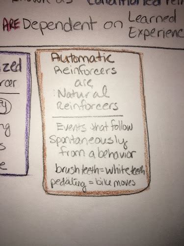 Psych Of Learning Exam 2 Flashcards Quizlet